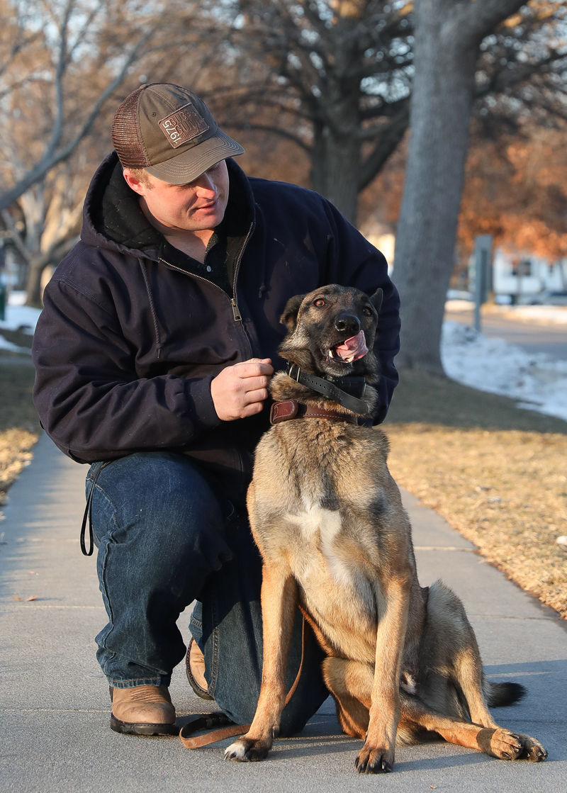 Veteran and his dog